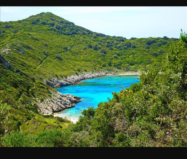 Ninos Corfu Villas Agios Georgios  Exteriér fotografie